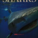 sharkbook1