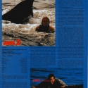 jaws2article