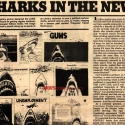 jawssharknewspaper2