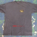 Shirttales2009Shirt1